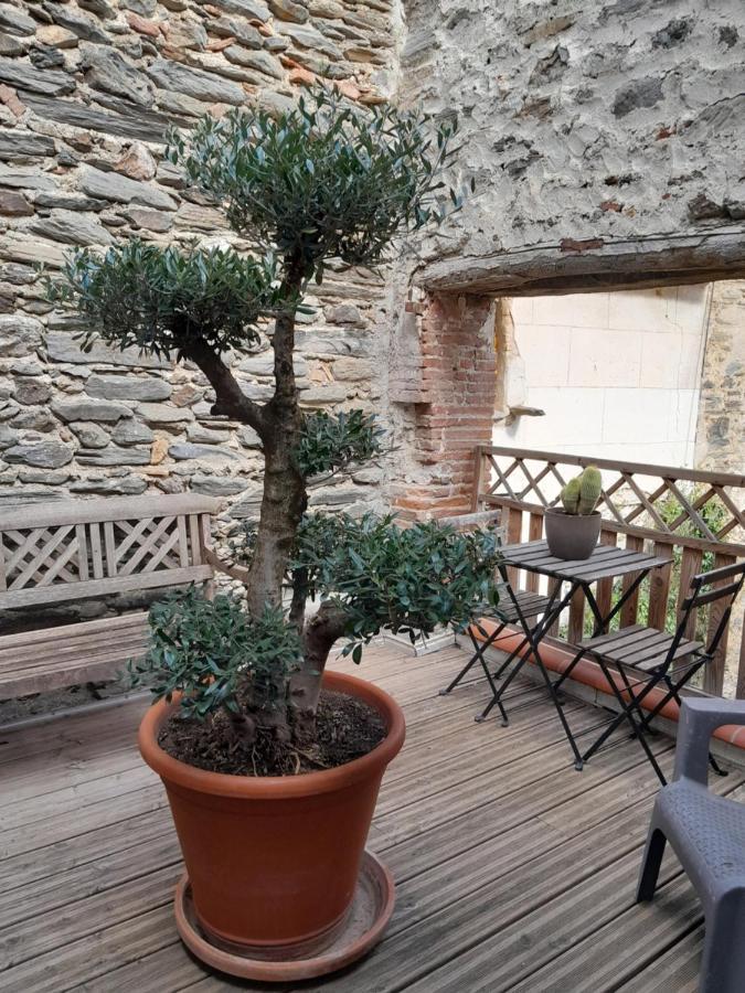 הוילה Rigarda Loft Vue Montagne מראה חיצוני תמונה